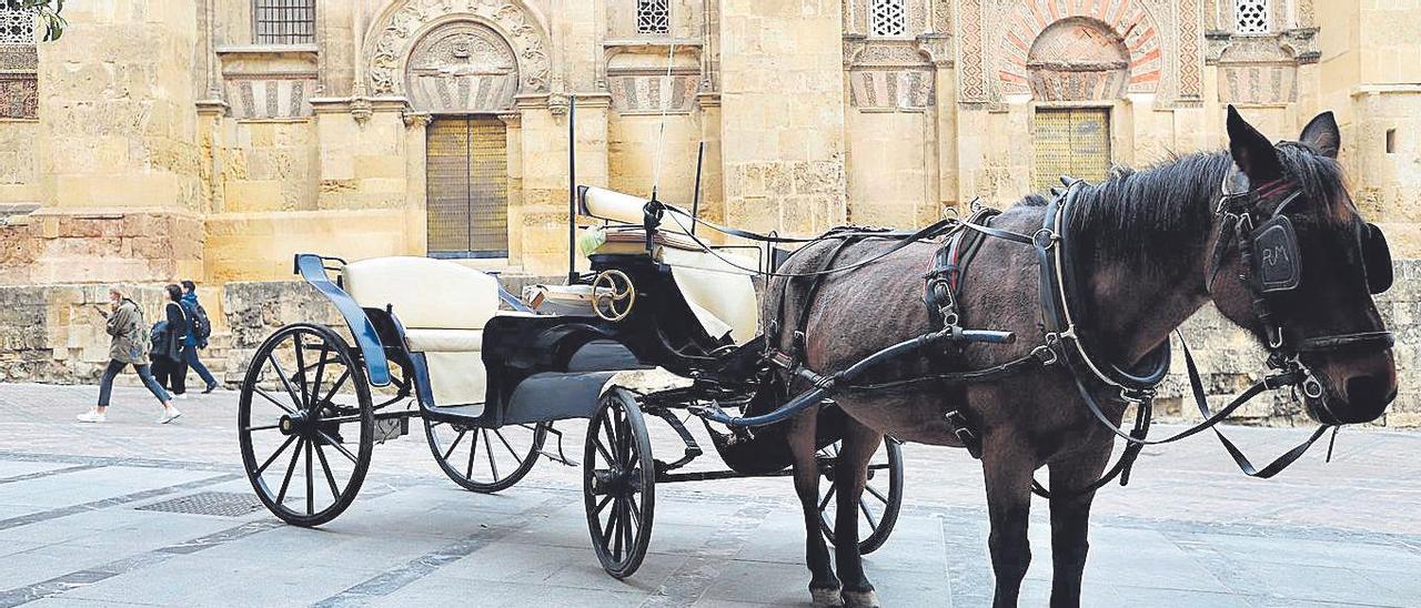 Los coches de caballos de Córdoba están regulados por una ordenanza municipal.