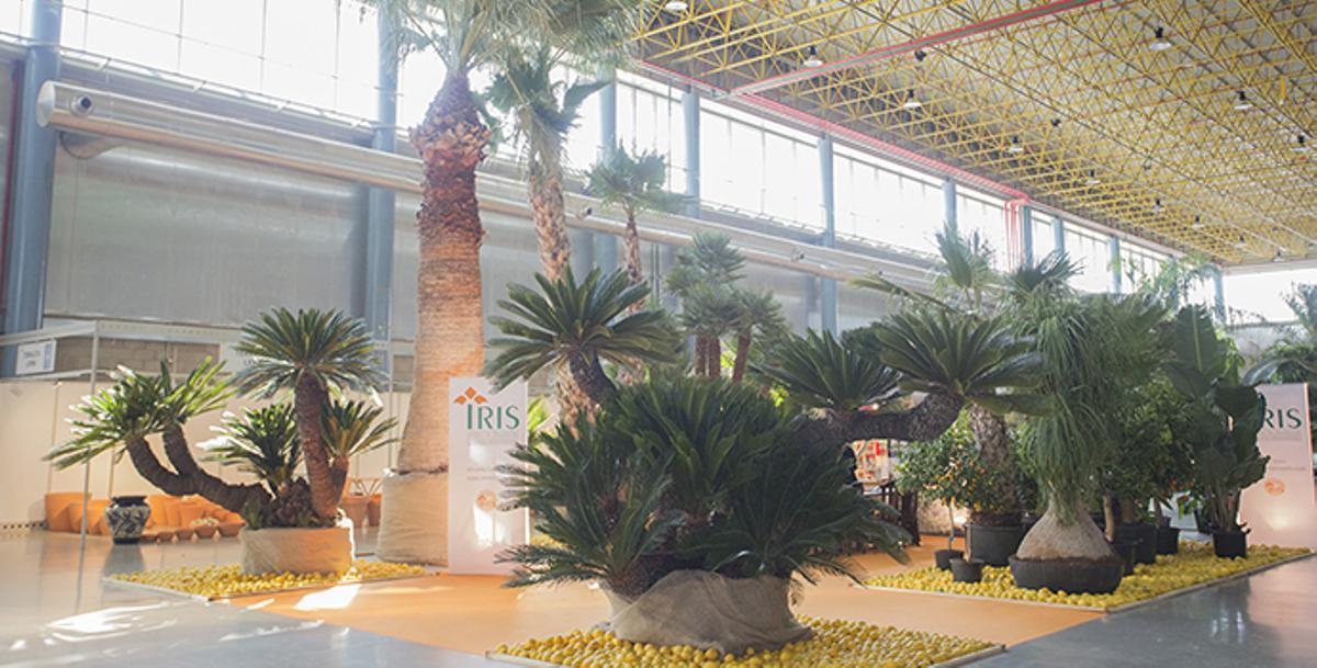 Viveralia 2019 convertirá a IFA en un paraíso de naturaleza