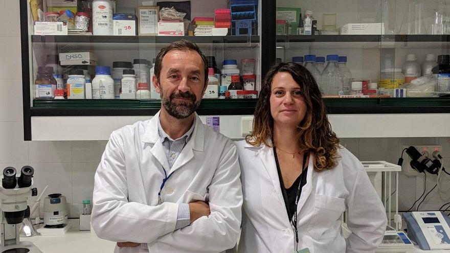 Javier Bermúdez y Yanina Romero, investigadores de la UGC de Endocrinología y Nutrición del Hospital Regional de Málaga.