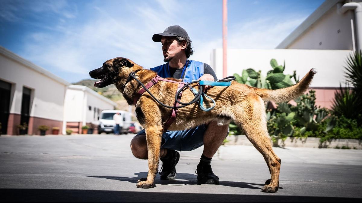 Voluntario del CEPAM con un perro del centro