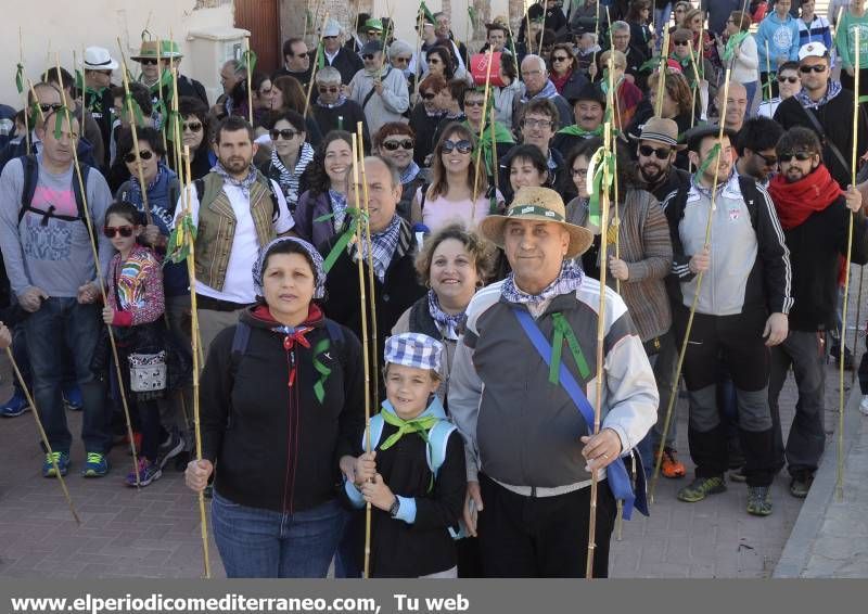 GALERÍA DE FOTOS - Romería Magdalena 2014 (5)