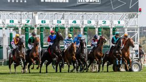 Los caballos salen del poste de salida en el Hipódromo de la Zarzuela