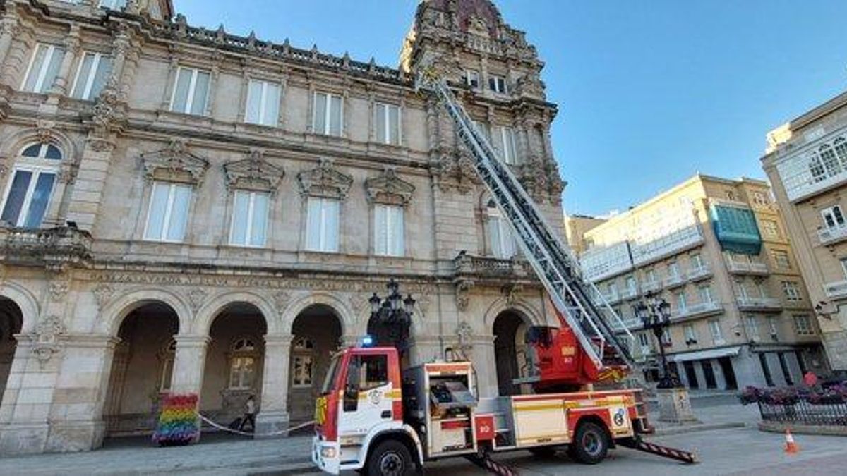 Los bomberos retiran un nido de velutina en María Pita.