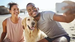 ¿Mi perro me reconoce cuando hago una videollamada? Un Labrador y un Golden Retriever sacan de dudas a todos