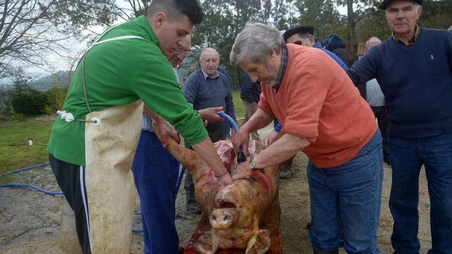 Un momento de la pasada fiesta de la matanza, en Valga. // Noé Parga