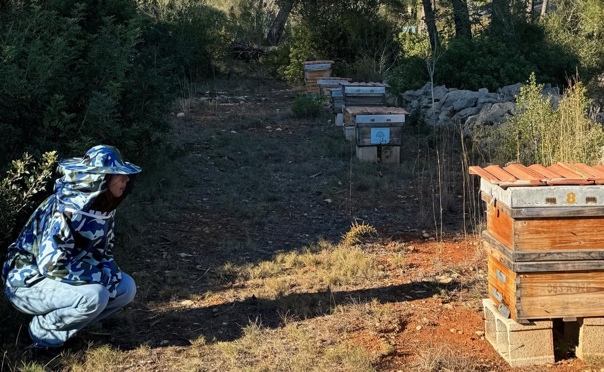 Las colmenas de la Plana del Montgó