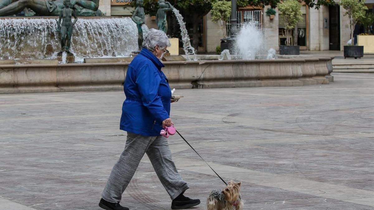 Coronavirus: Denuncian a seis personas en Vinaròs por pasear a su perro en las playas y la ermita