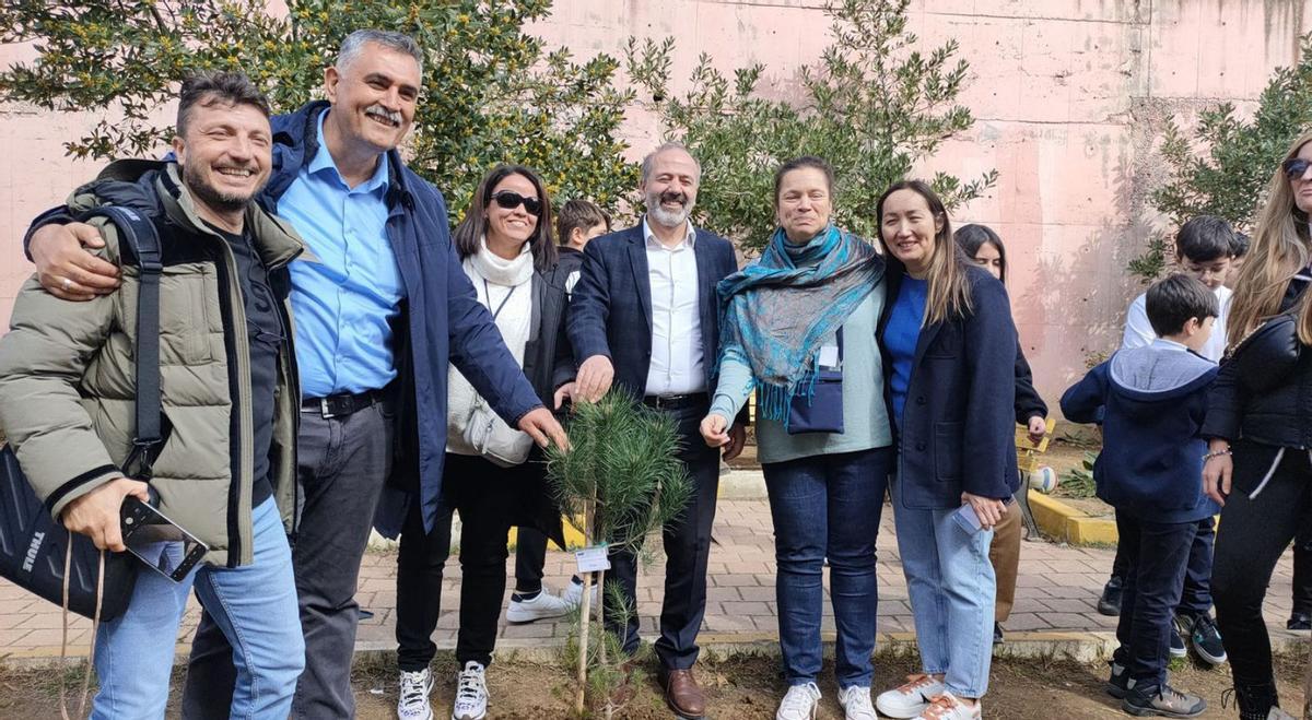 Plantación de un pino en el patio de la escuela anfitriona. | CEIP PORTAL NOU