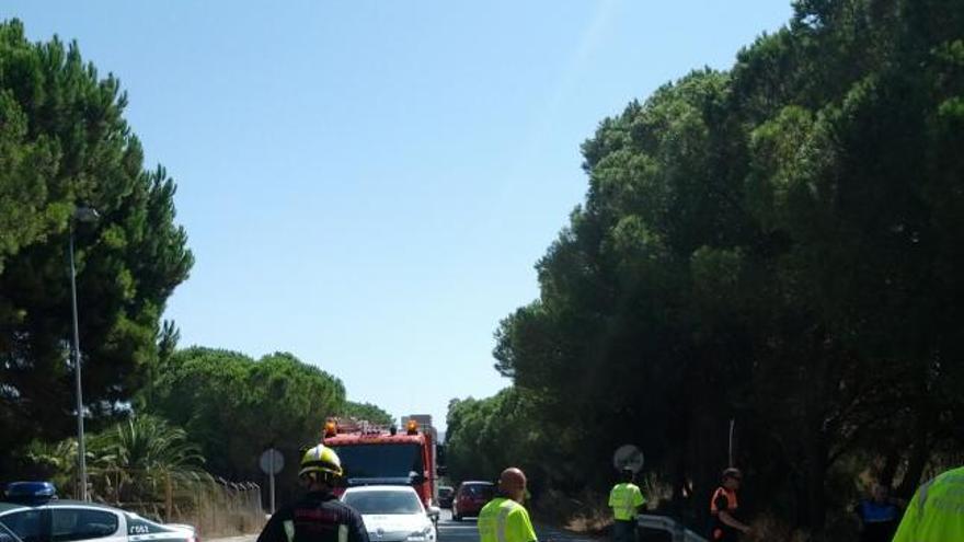 Imagen de la moto siniestrada.