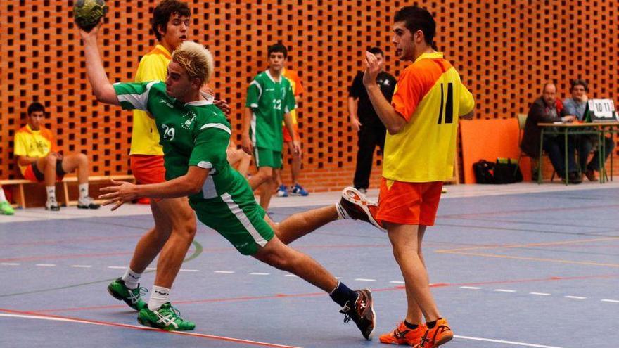 Tevisa Servicios Integrales patrocinará al juvenil masculino del BM Zamora