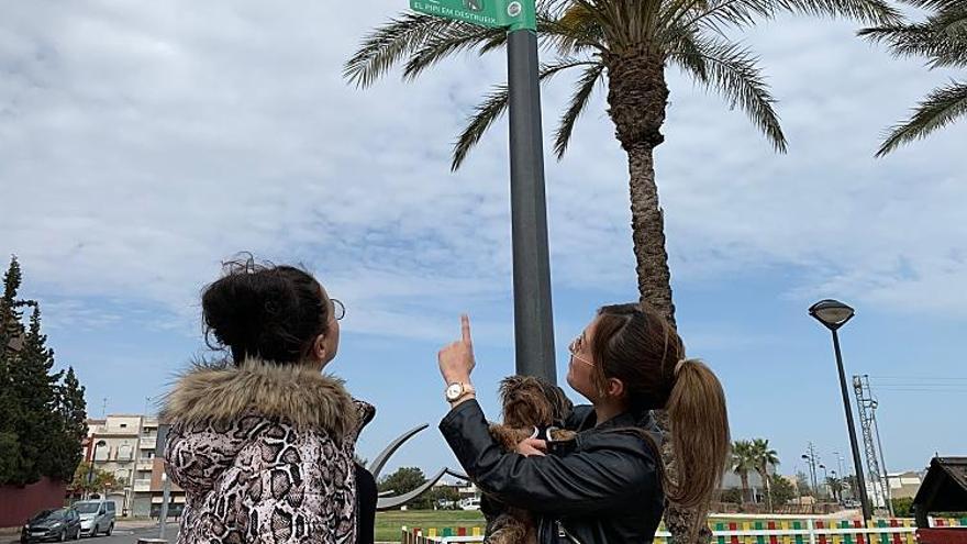 Las farolas de Algemesí se llenan de mensajes contra la orina de los perros