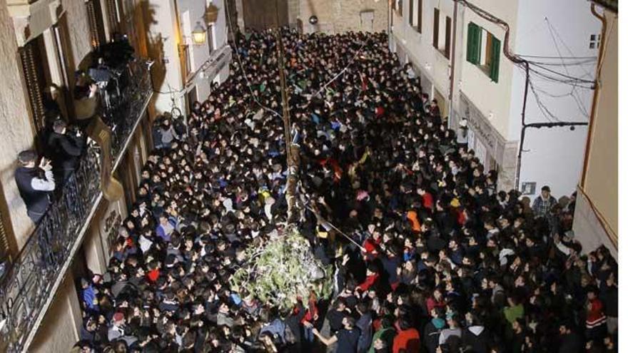 El Pi de Sant Antoni ha llegado a la Plaça Vella de Pollença poco después de las siete de la tarde.