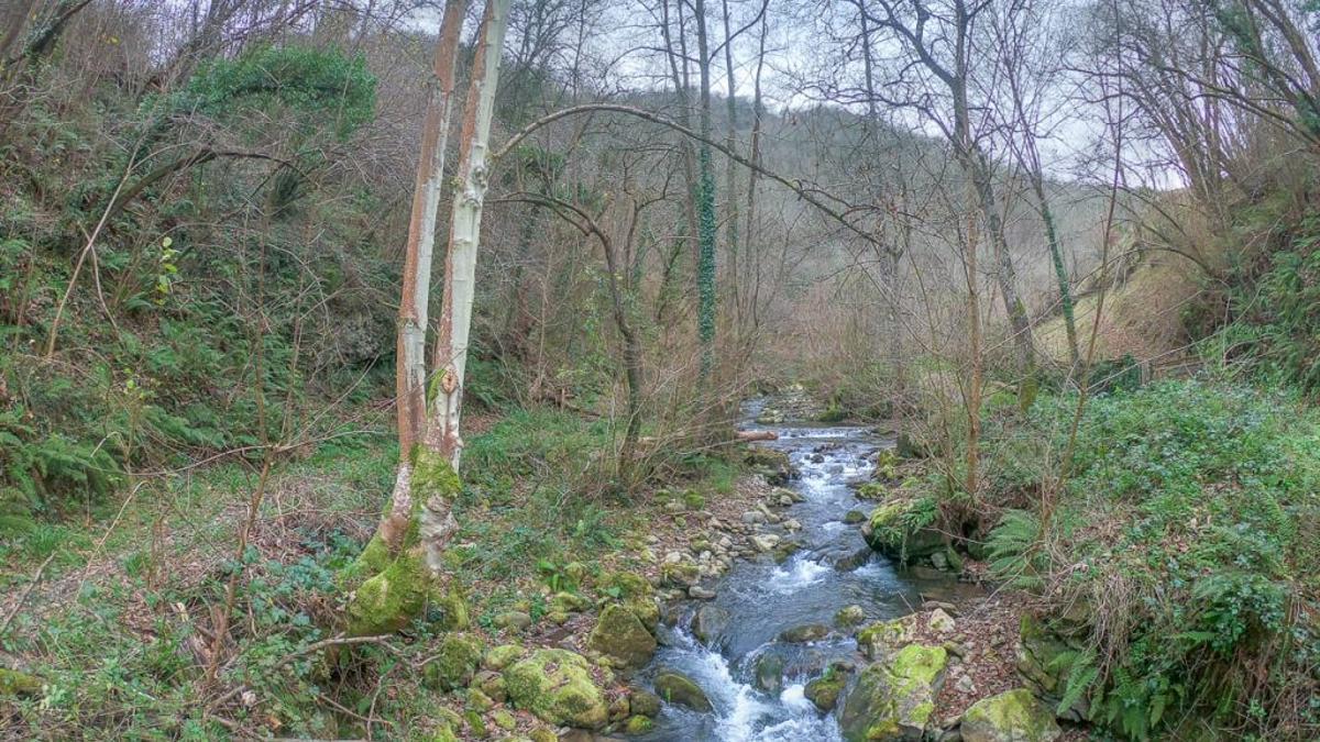 Ruta circular Pola de Lena