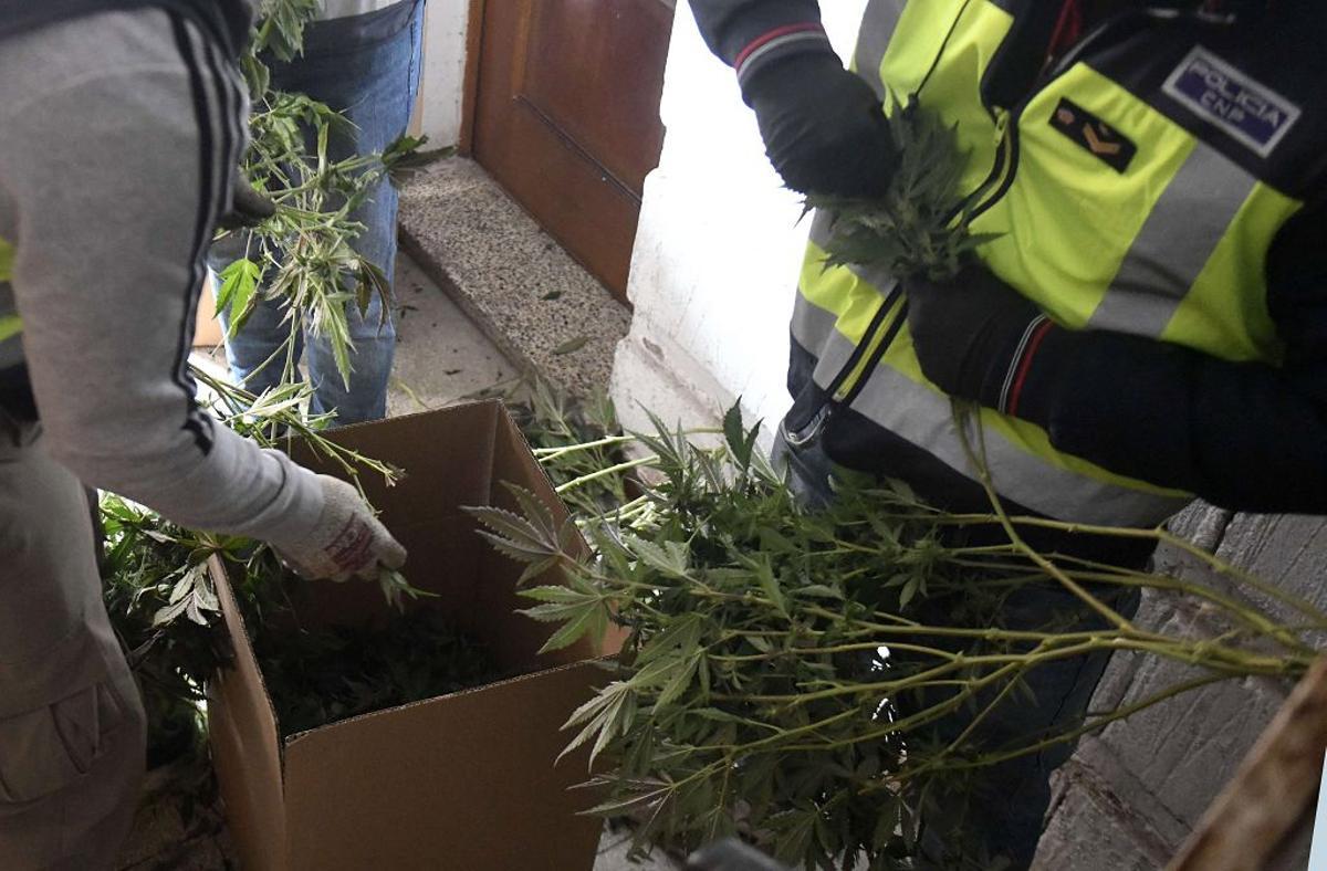 Las imágenes de la redada contra el narcotráfico en el Polígono de La Paz en Murcia Las imágenes de la redada contra el narcotráfico en el Polígono de La Paz en Murcia