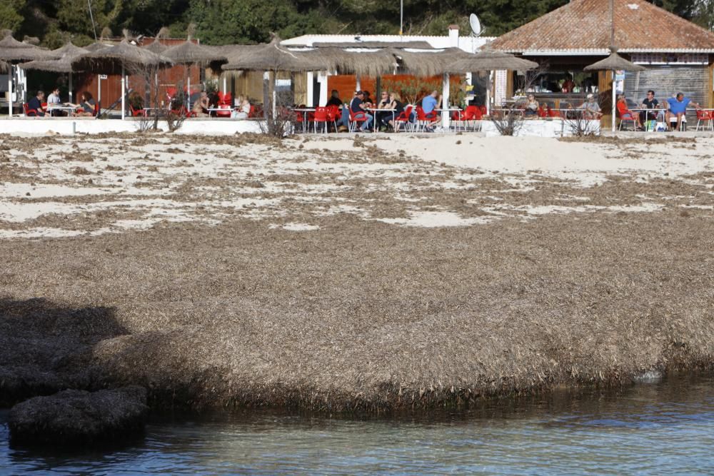 Cala Mondragó - wo ist der Traumstrand?