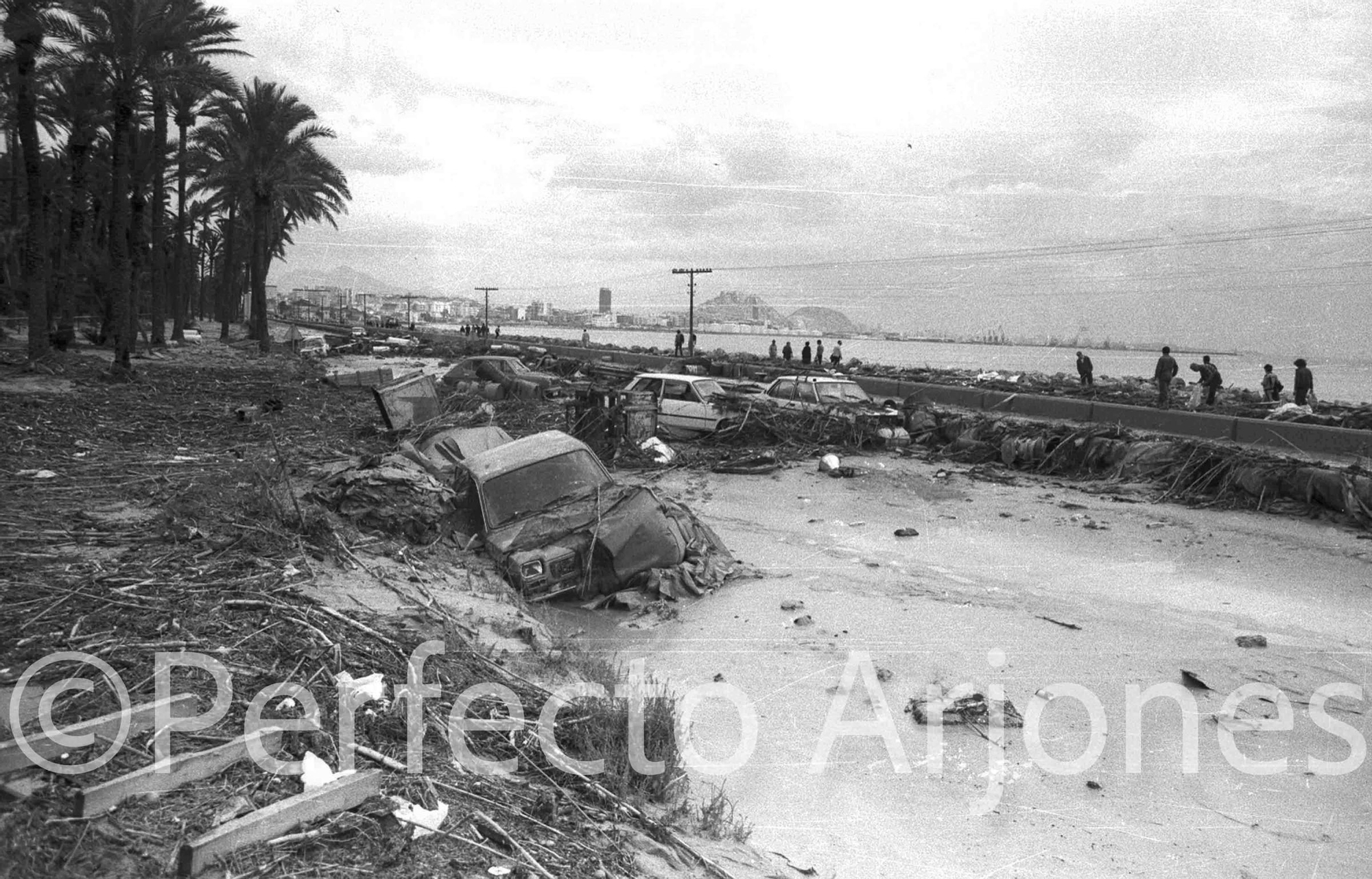 Riada de 1982: El día que Alicante se partió en dos