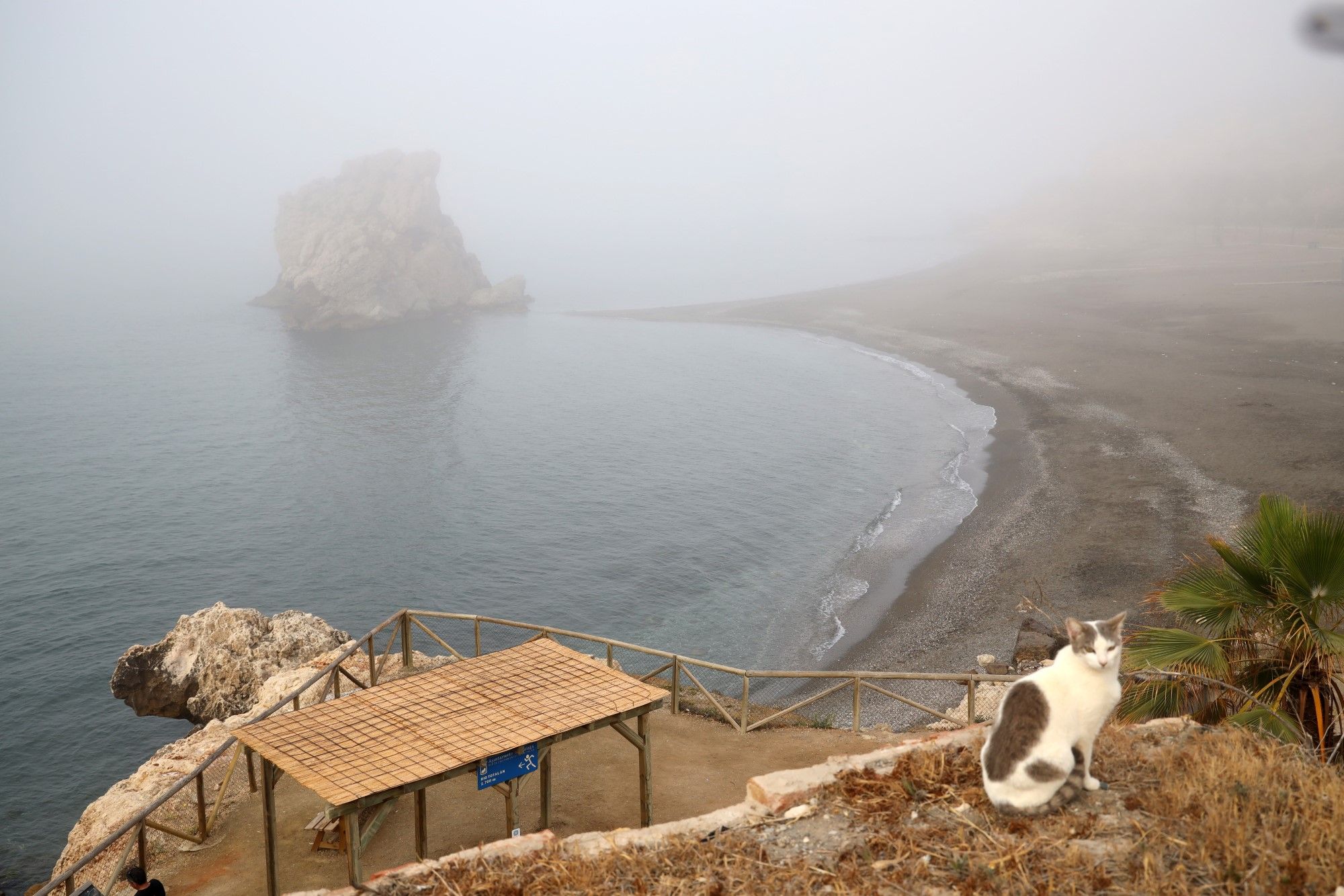 Nuevo episodio de taró: Málaga despierta envuelta en niebla