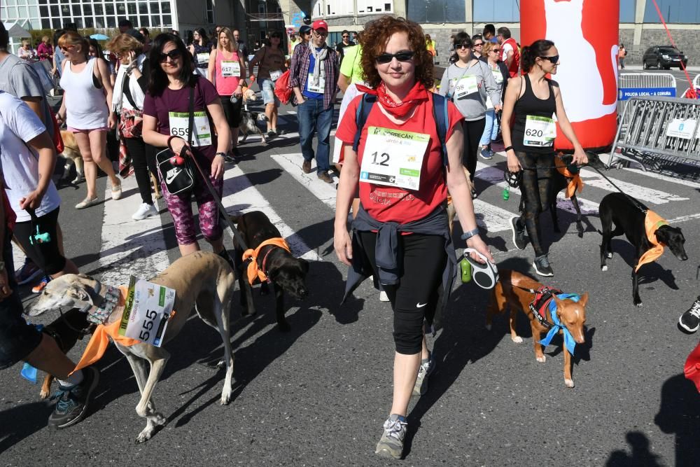 III Correcán solidario de Cancoruña