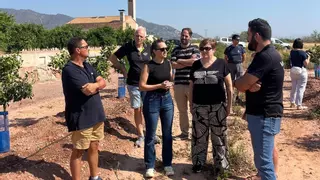 La Vall pide la zona catastrófica para su término municipal con 4 millones de pérdidas estimadas