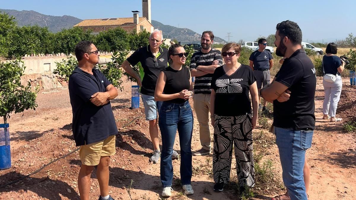 La alcaldesa, la subdelegada del Gobierno y el concejal de Agricultura durante la visita a zonas afectadas de la Vall d'Uixó.