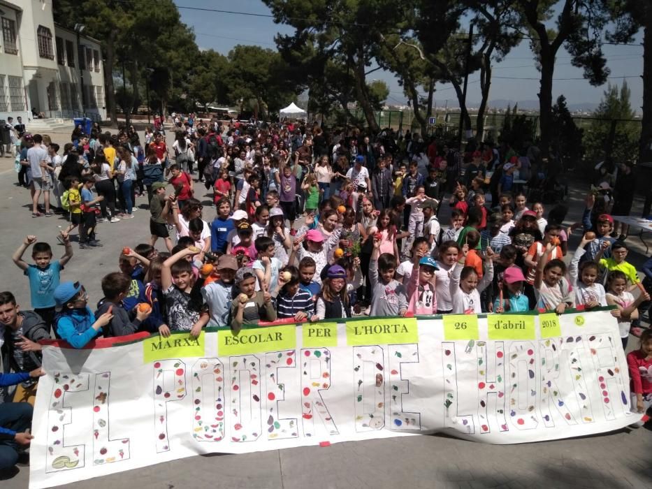 Actividades de la III Marxa Escolar per l'Horta