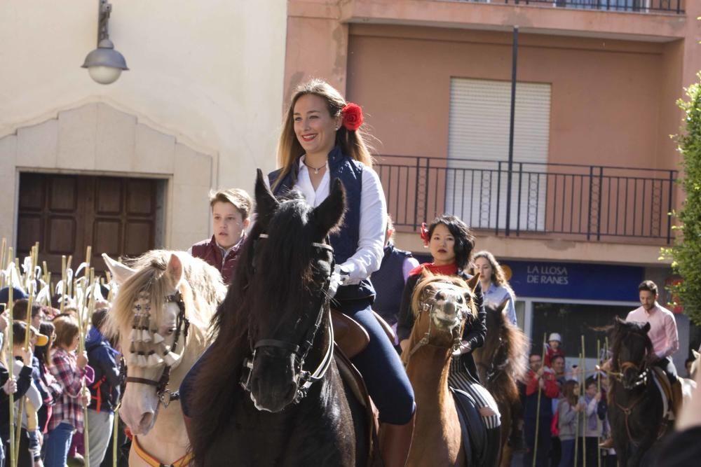 Romería a la ermita de Santa Anna de la Llosa de Ranes