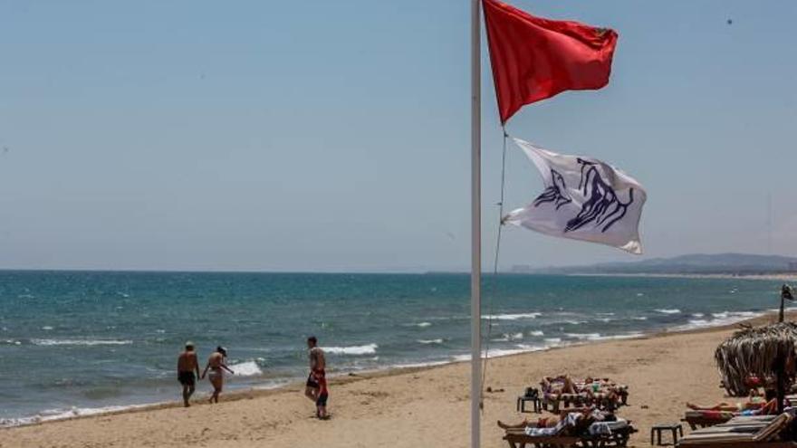 Todo el litoral ilicitano continúa  cerrado al baño por precaución