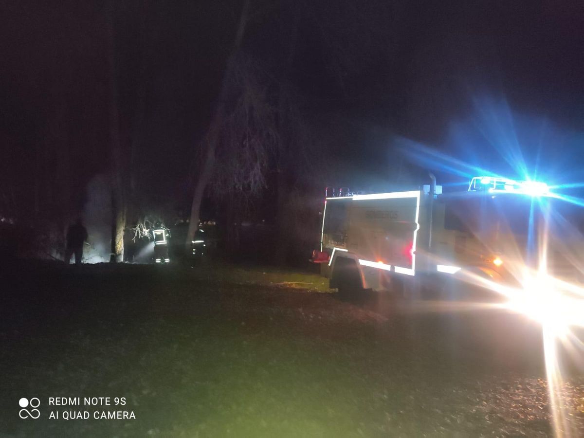 Los bomberos de Toro apagan las llamas en El Piñero