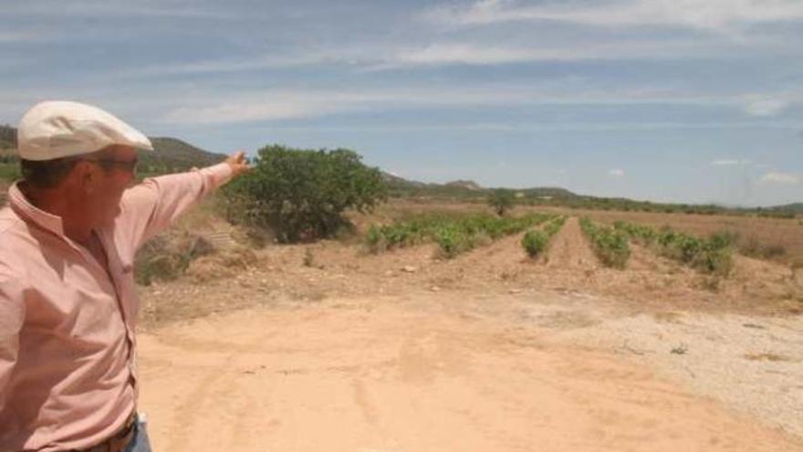 La partida rural de Los Mayorazgos de Monóvar.