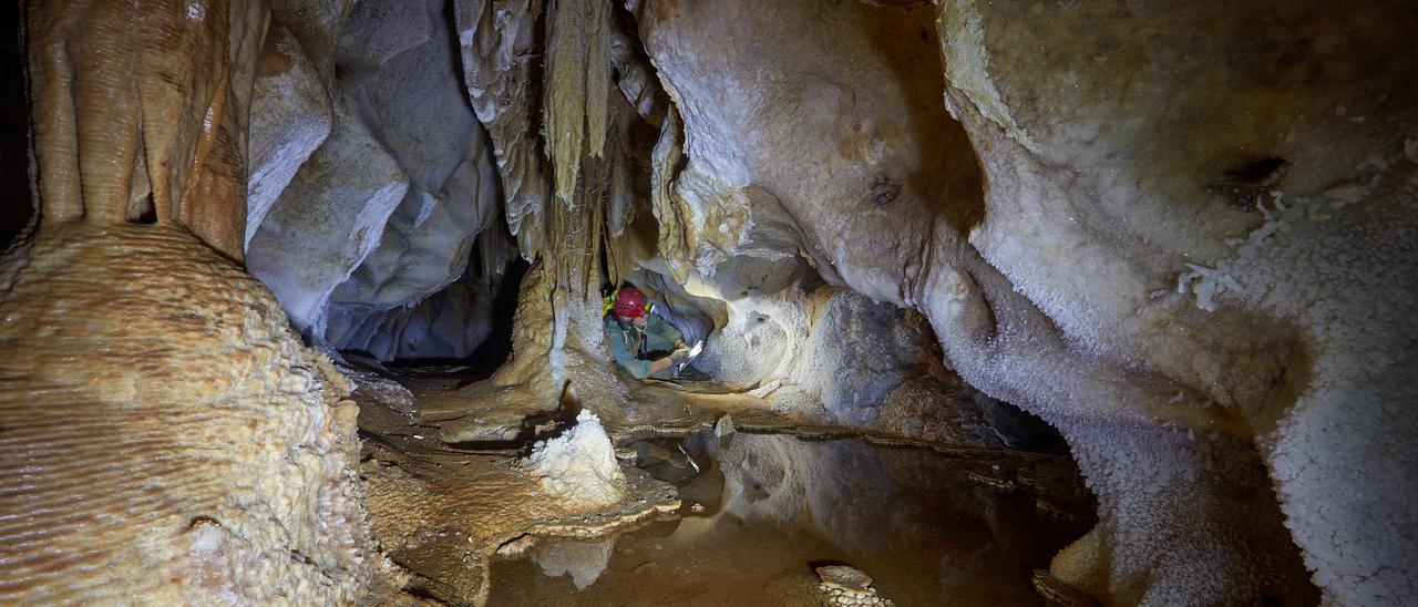 Trabajos de investigación del grupo de especialistas en la Cueva de las Estegamitas, en 2022.