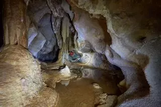 La Junta encarga dos informes sobre la nueva Cueva de la Araña