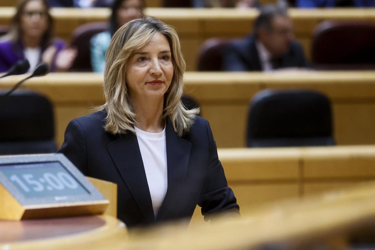 El PP hace valer su mayoría absoluta en el Senado y aprueba el veto a la ley de amnistía