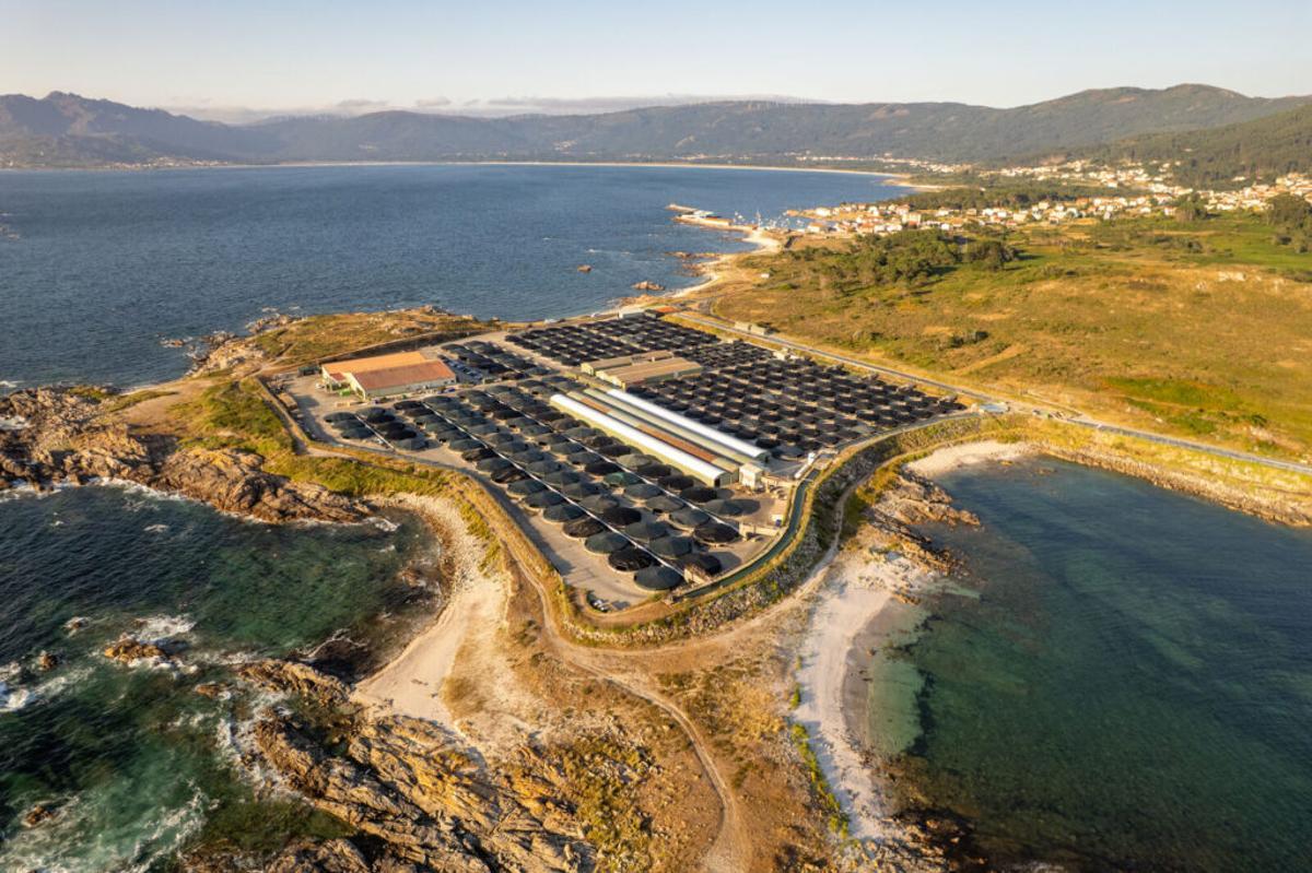 Granja de peces planos de Stolt Sea Farm en Galicia.