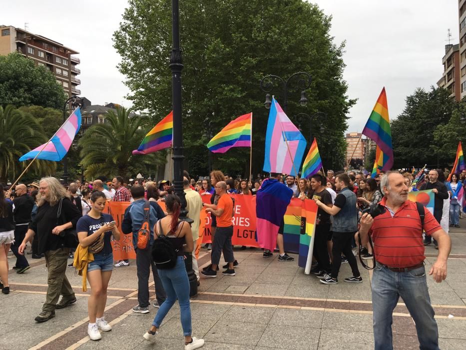 Manifestación del Orgullín del Norte.