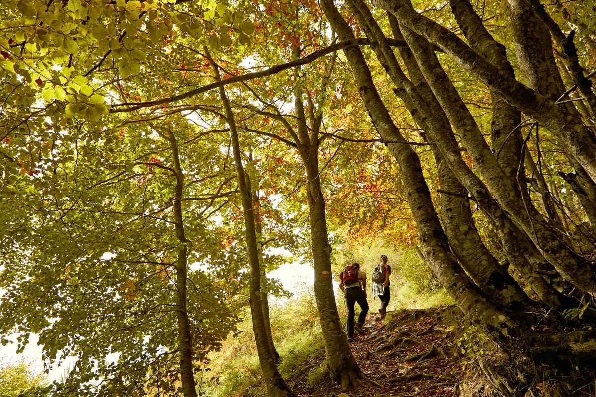 Moncayo Camino Ciclista