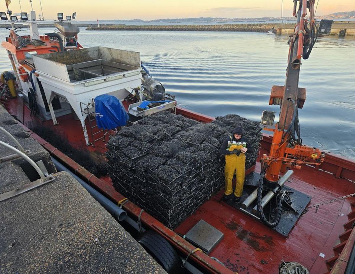 Un barco cargado de sacos,
que se destinan tanto a Francia
como a Italia, ayer.  |  M. Méndez