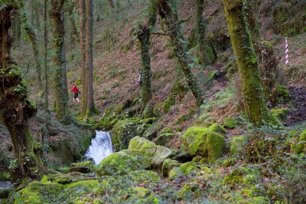 A Fraga, terreno trail