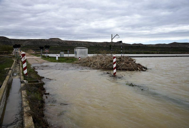 Impresionantes imágenes de la crecida del rio en Gelsa, Pinta y Quinto de Ebro