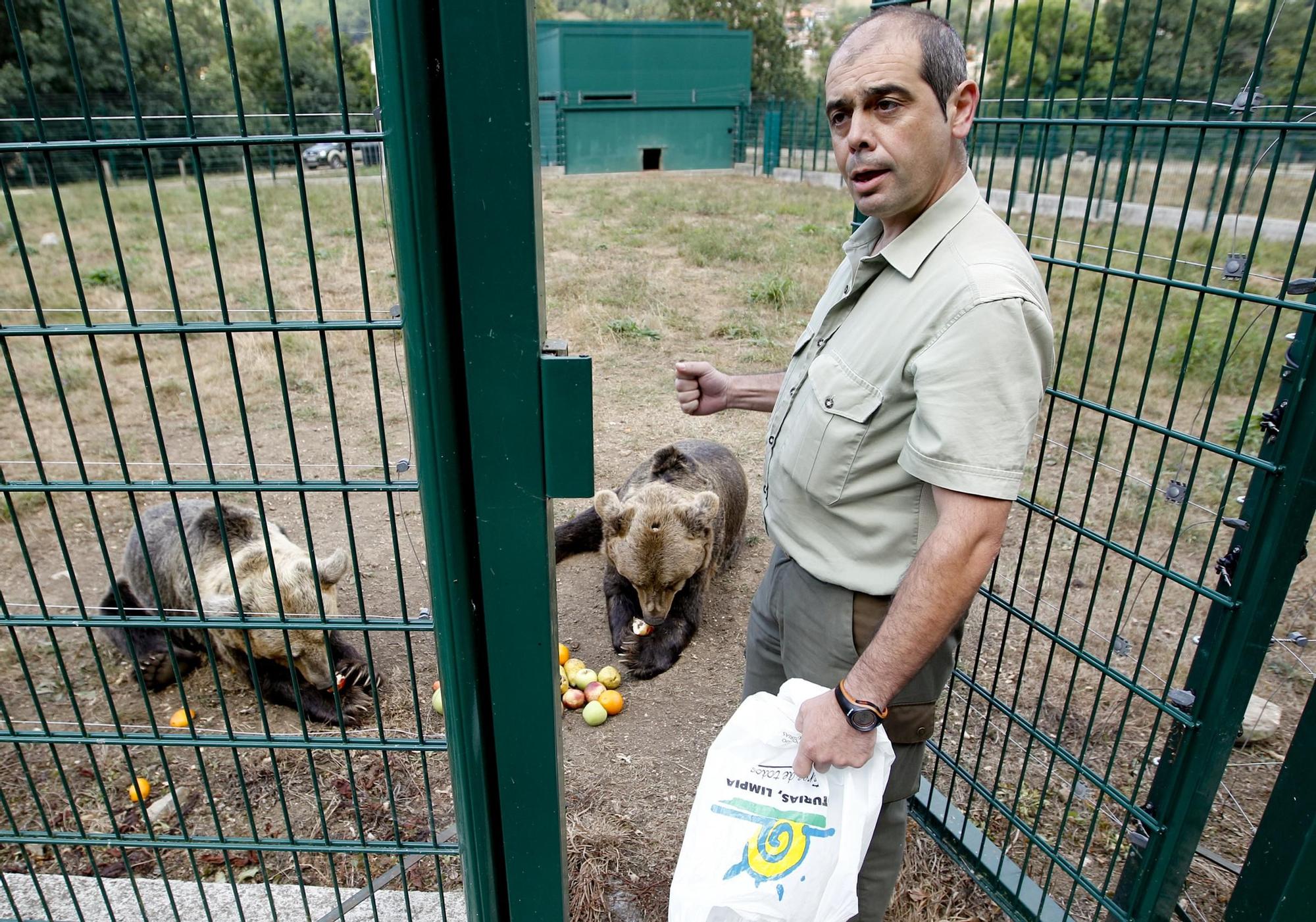 EN IMÁGENES: Así fue la vida de la osa "Paca" en el cercado de los Valles del Trubia