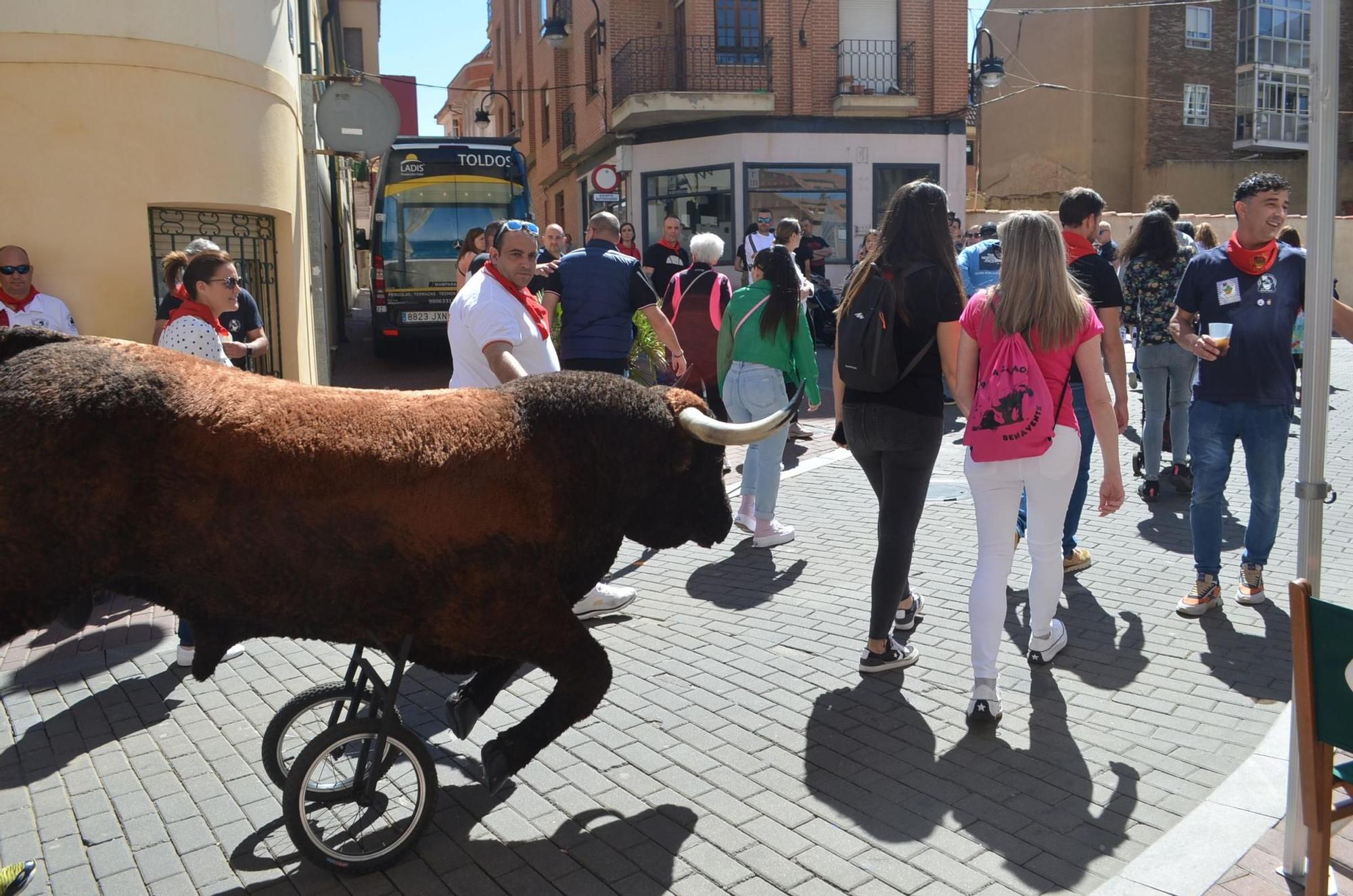 Fiestas de la Veguilla en Benavente: Así de bien lo han pasado los niños con los carretones de Gente del Toro