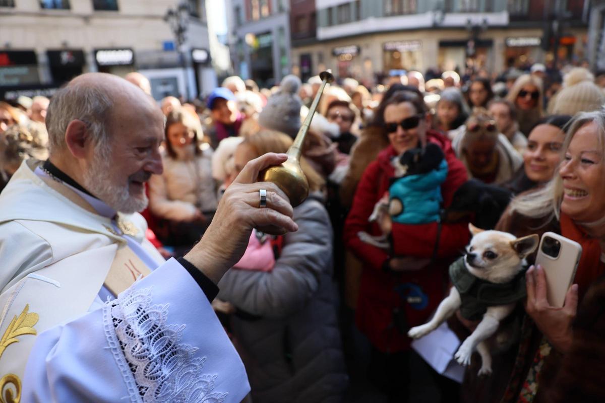 EN IMÁGENES: Oviedo bendice a sus mascotas por San Antón