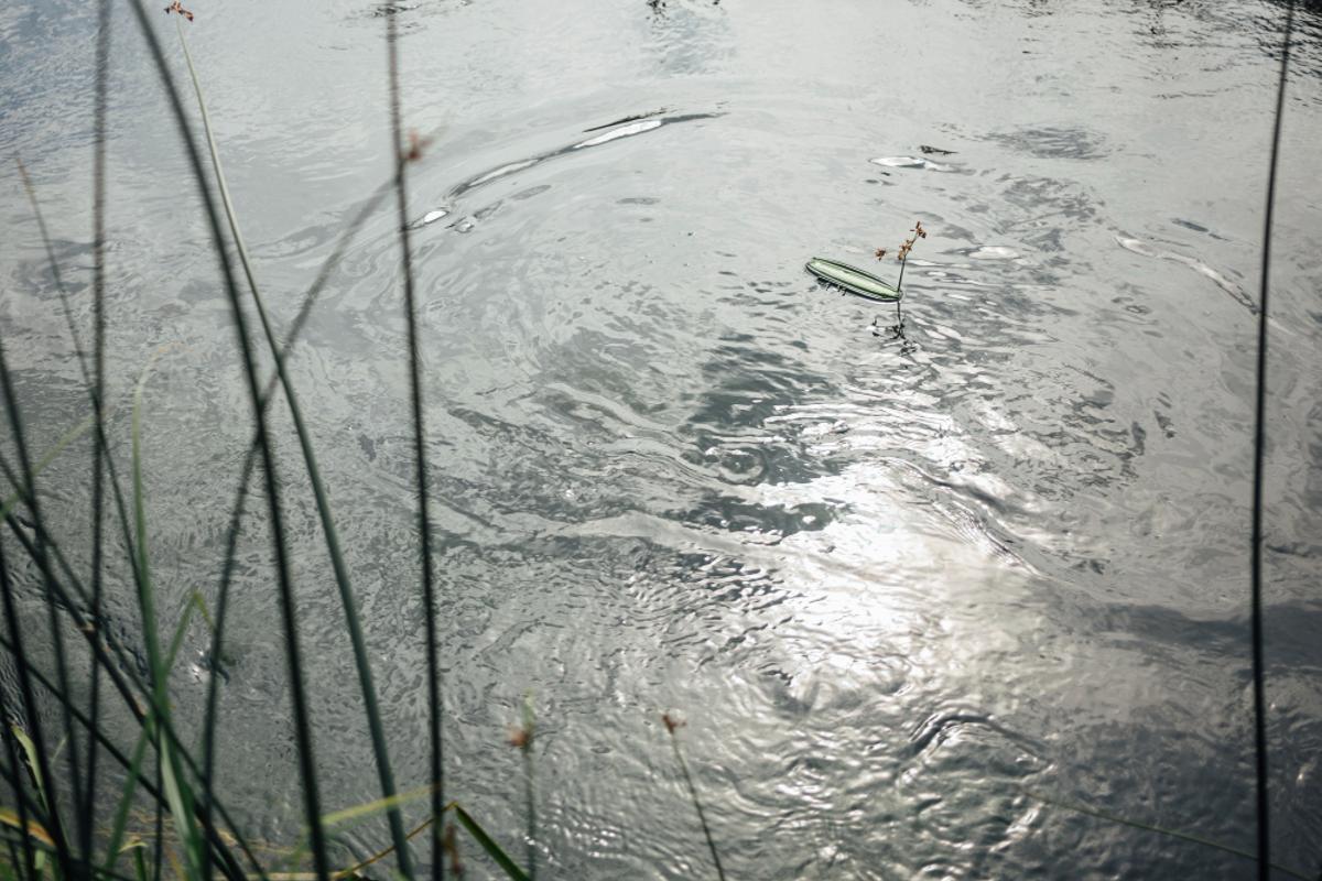 El Ministeri d’Agricultura assegura que no pot difondre ni la llista dels 35 dossiers en tramitació ni la dels tretze que s’han "desbloquejat".