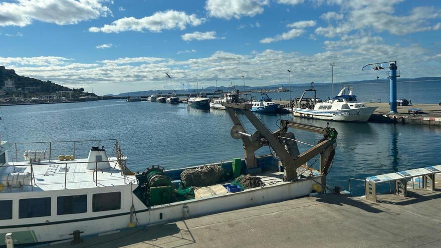 Vaixells pesquers aturats al port de Roses.
