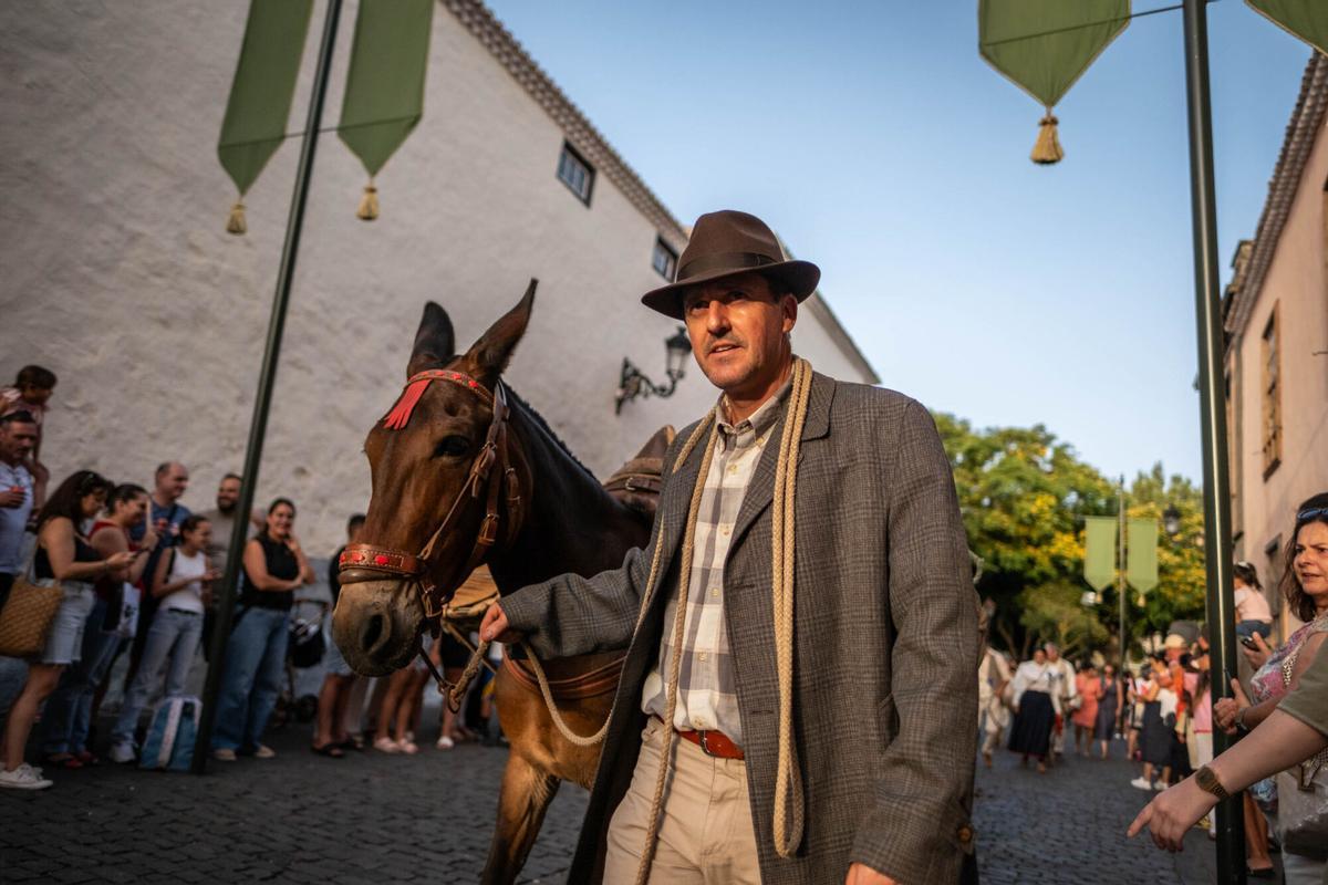 Noche de los Burros en La Laguna