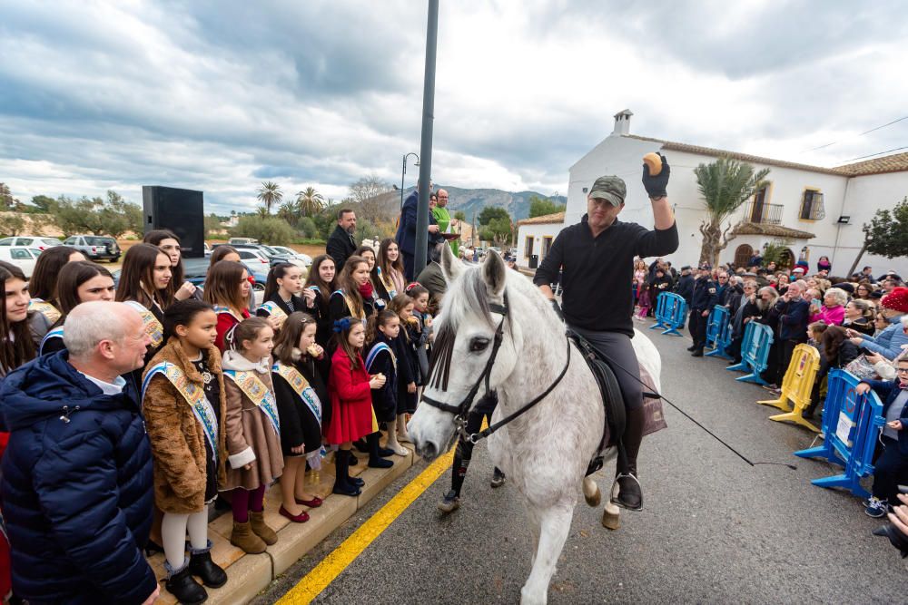 Benidorm celebra Sant Antoni