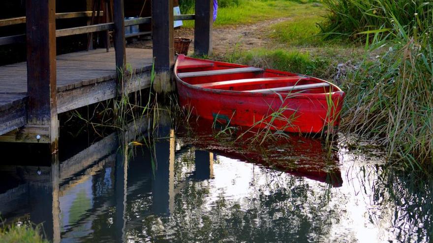 Conoce la Marjal con un paseo en barca