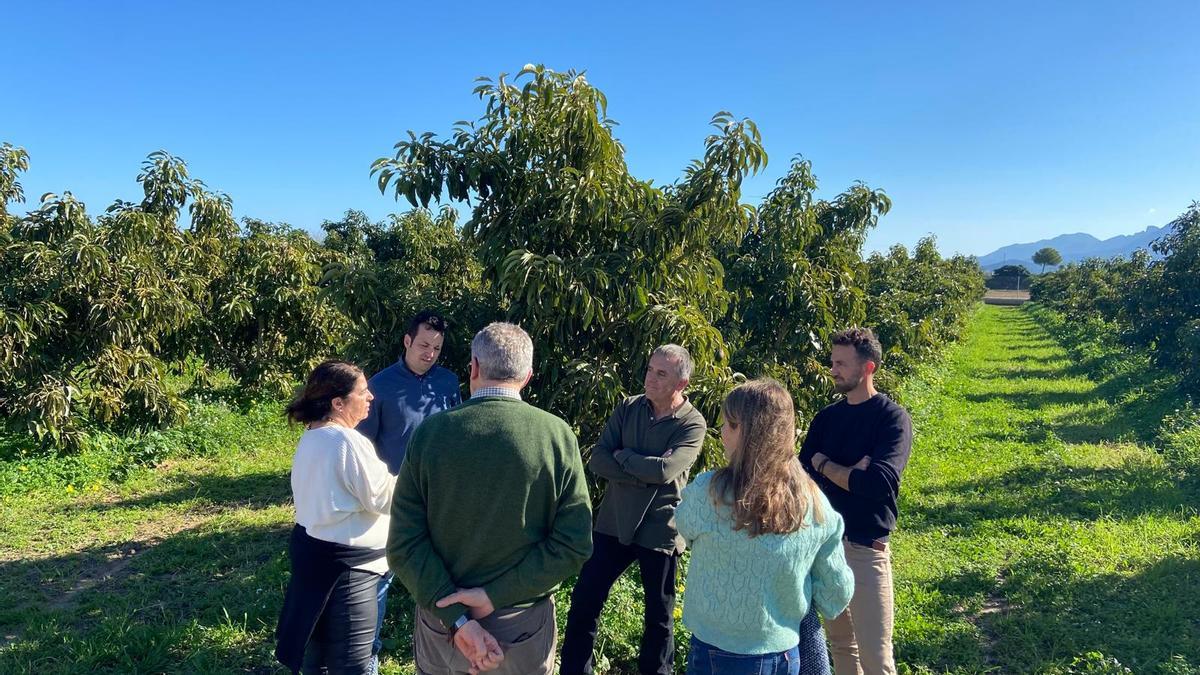 Equipo técnico de la Finca Sinyent junto a investigadores de Málaga y Canarias del cultivo del aguacate.