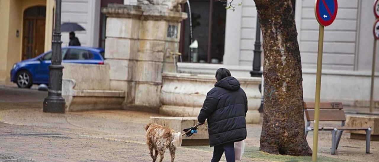 Un perro y su dueño pasean por las proximidades de la Font del Lleó de Xàtiva.