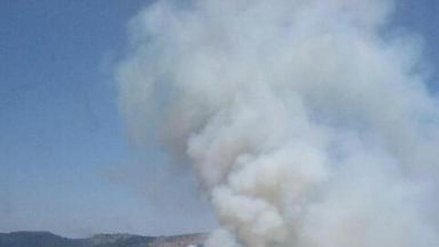 Estabilizado el incendio forestal en la Serra Mariola