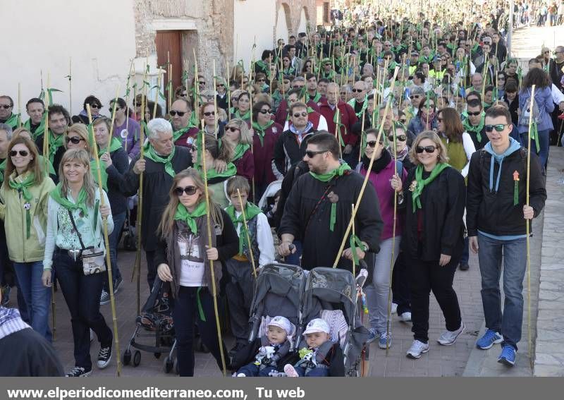 GALERÍA DE FOTOS - Romería Magdalena 2014 (5)